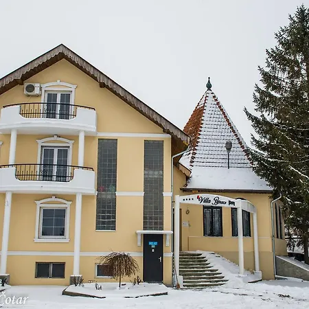 Bed & Breakfast Pipacs Feketić